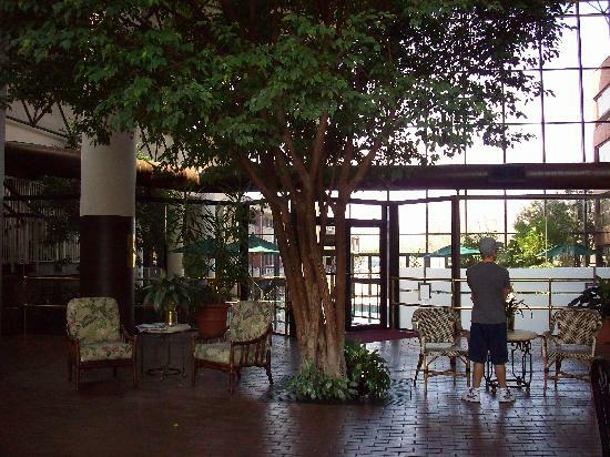 Hotel Super 8 By Wyndham Mobile I-65 Esterno foto